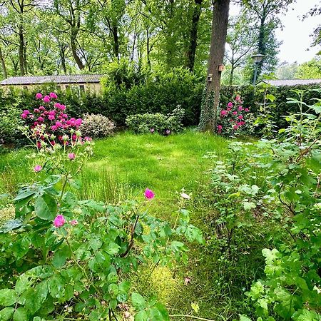 Vakantie Veluwe 와게닌겐 외부 사진