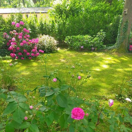 Vakantie Veluwe 와게닌겐 외부 사진
