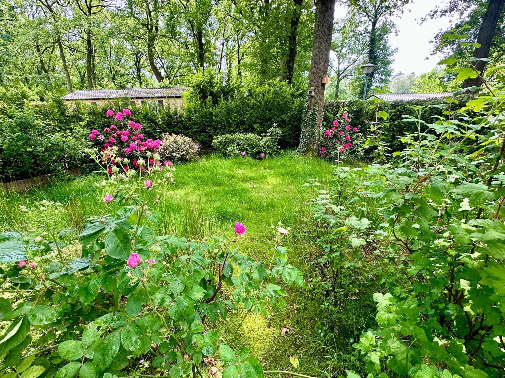 Vakantie Veluwe 와게닌겐 외부 사진