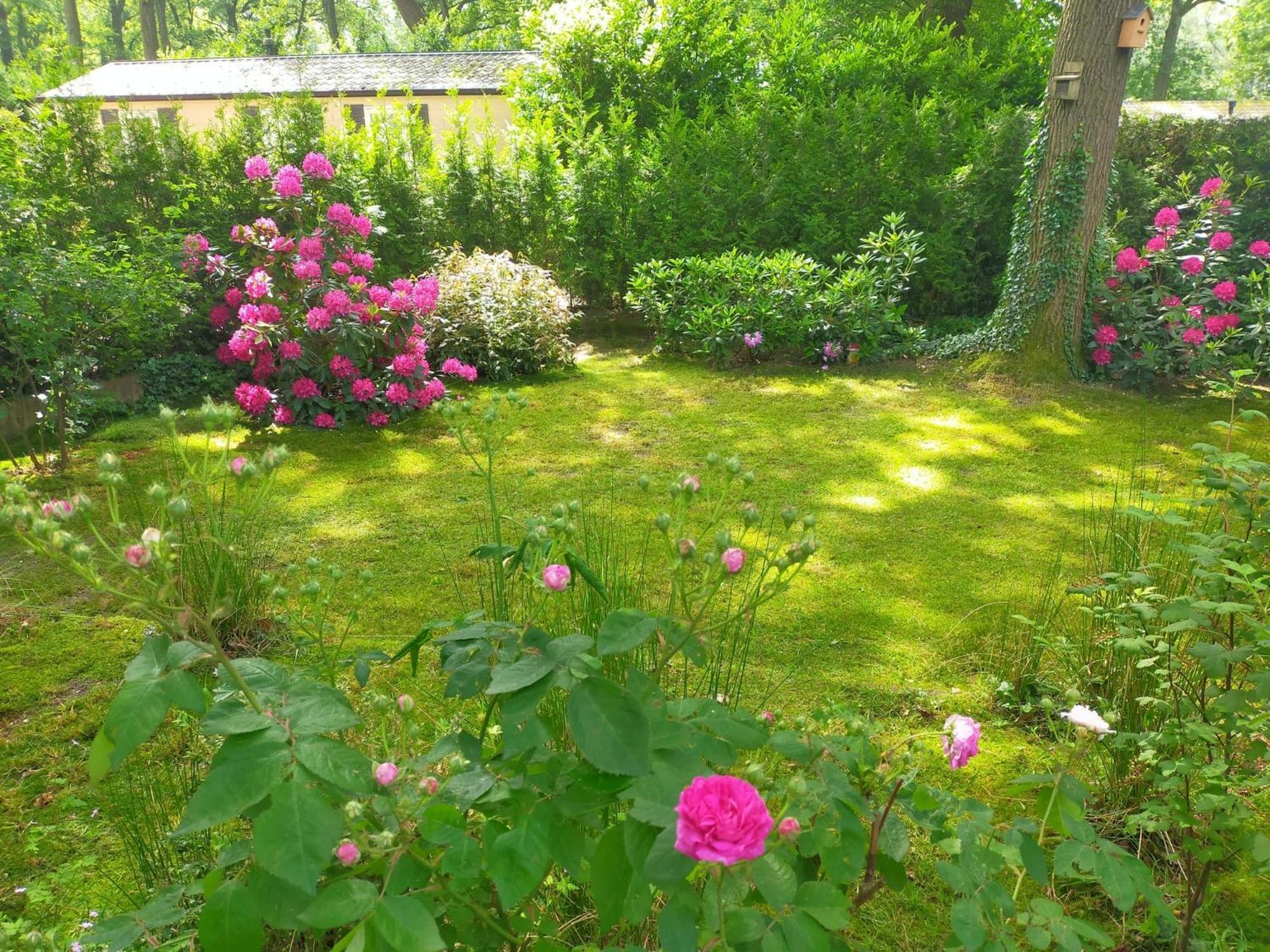 Vakantie Veluwe 와게닌겐 외부 사진
