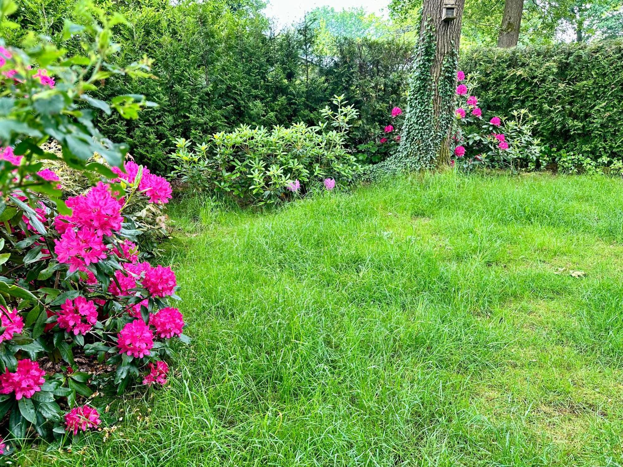 Vakantie Veluwe 와게닌겐 외부 사진