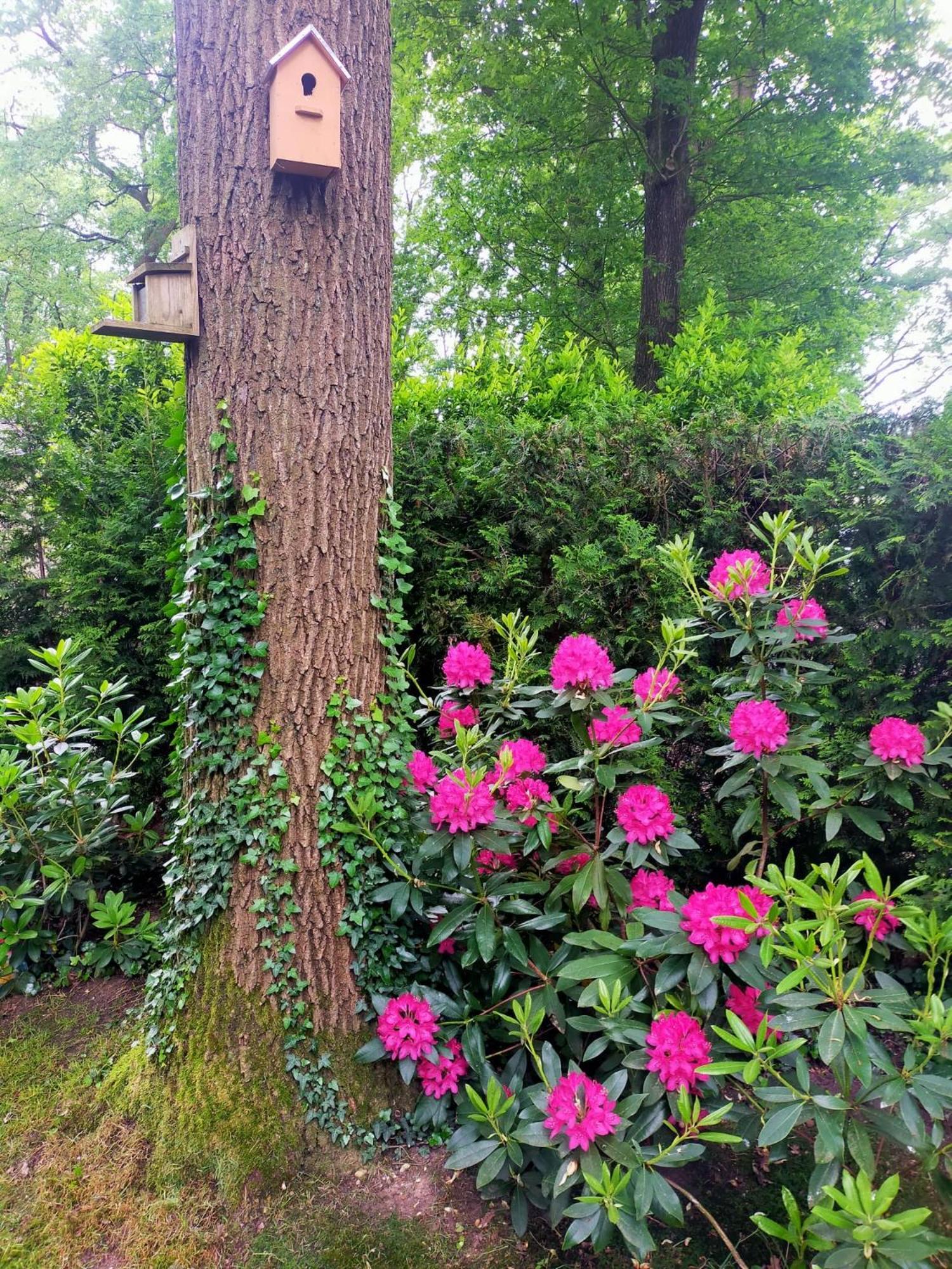 Vakantie Veluwe 와게닌겐 외부 사진